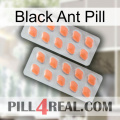 Black Ant Pill 27